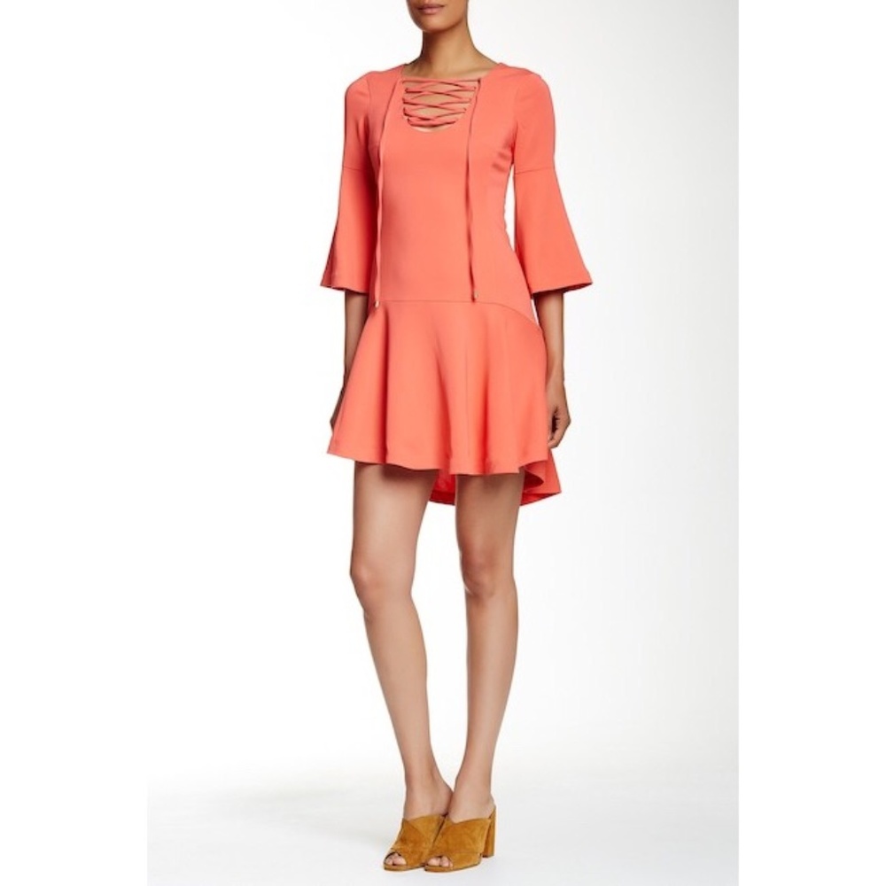 Rachel Zoe Marnie Drop Waist Dress, Sorbet SP16D48
